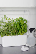 Bøjle med sugekopper | Smart ophæng til plantebelysning