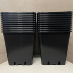 Hög fyrkantig kruka 25 x 25 x 26cm | 5-pack