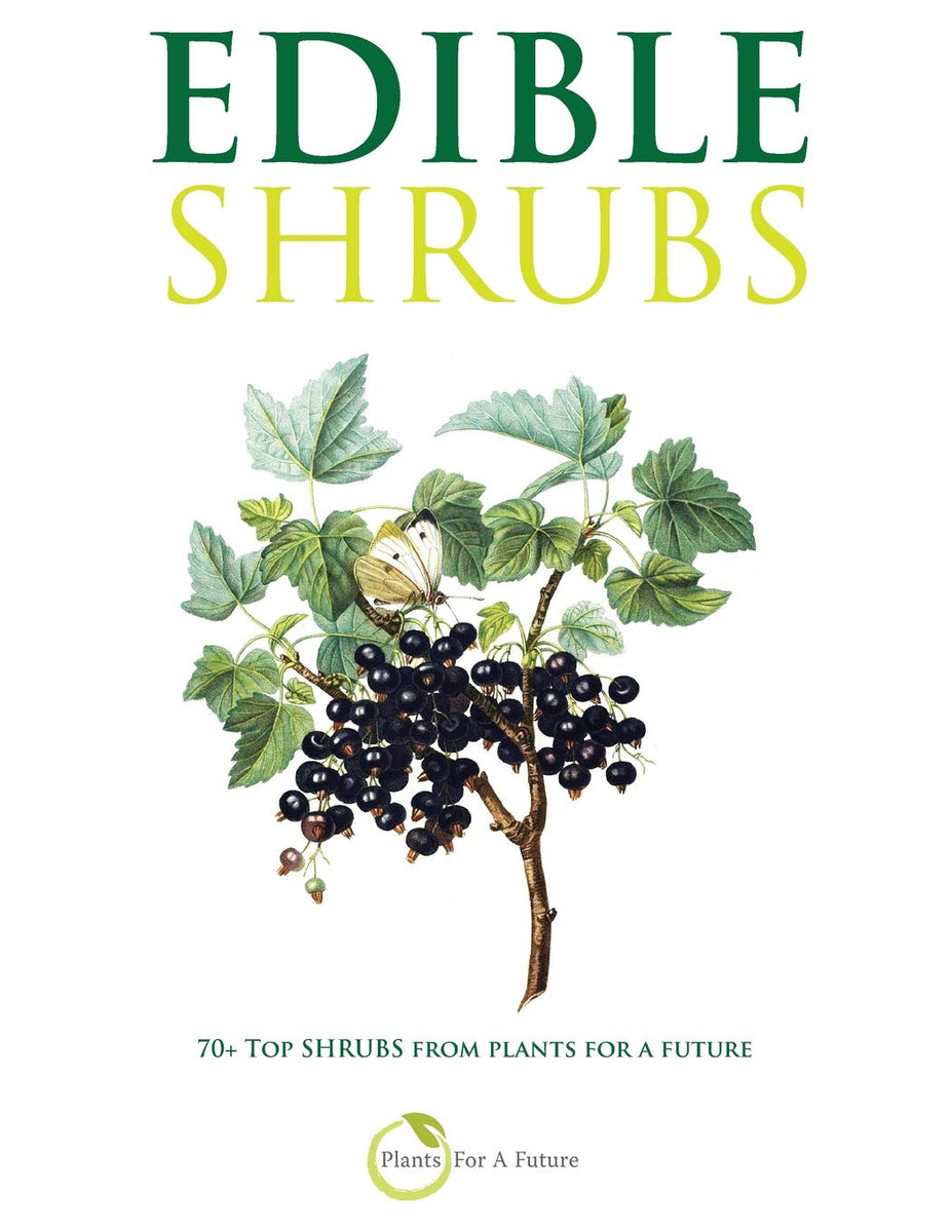 Edible Shrubs 70+ Top Shrubs from Plants For A Future Trädgårdsdags