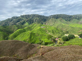 Cameron Valley Premium Gold | Svart te av högsta kvalitet från Cameron Highlands