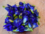 Blå Sommerfugl Ærtefyldt blomst (Clitoria ternatea)