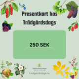 Presentkort hos Trädgårdsdags 100-1000 SEK