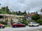 Cameron Valley Premium Gold | Svart te av högsta kvalitet från Cameron Highlands