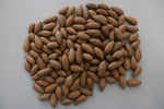 Torreya Nut / Kaya Nut 40-60 cm (Torreya nucifera)