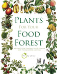 Planter for matskogen din: 500 planter for tempererte matskoger og permakulturhager