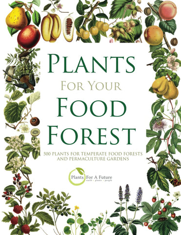Planter for matskogen din: 500 planter for tempererte matskoger og permakulturhager