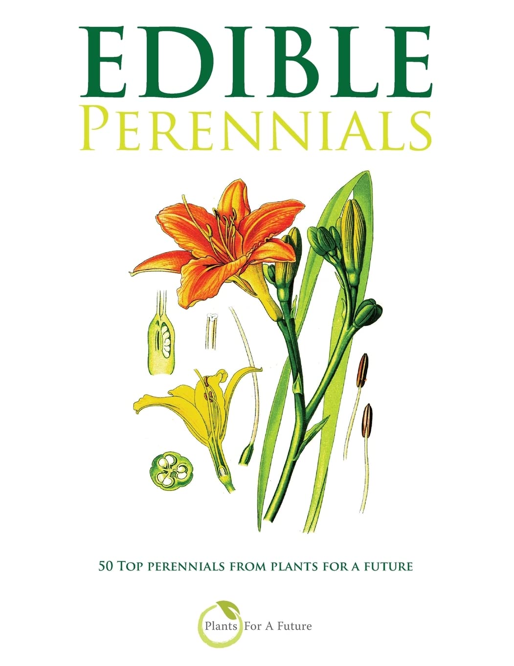 Edible Perennials: 50 Top perennials from Plants For A Future