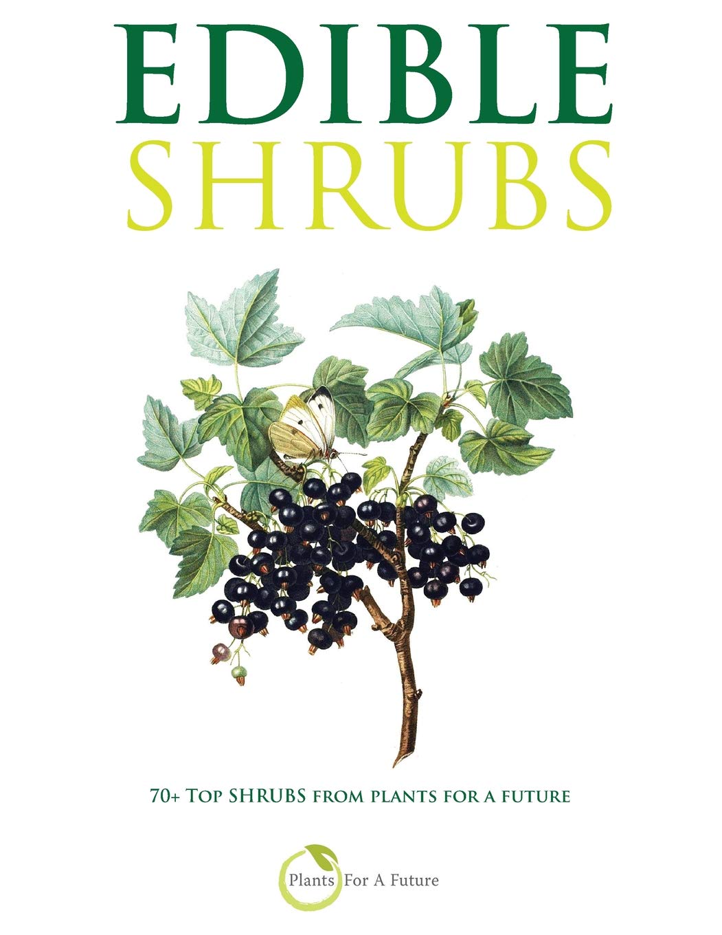 Edible Shrubs: 70+ Top Shrubs from Plants For A Future