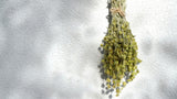 Greek Mountain Tea / Mursalski Tea (Sideritis scardica)
