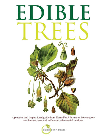 Spiselige trær: 50 topptrær fra planter for en fremtid